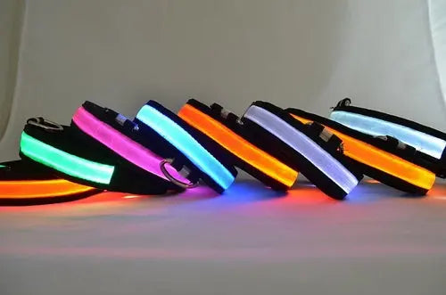 LED Light Up Dog Collar Act1ve Unlimited