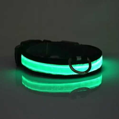 LED Light Up Dog Collar Act1ve Unlimited