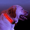 LED Light Up Dog Collar Act1ve Unlimited