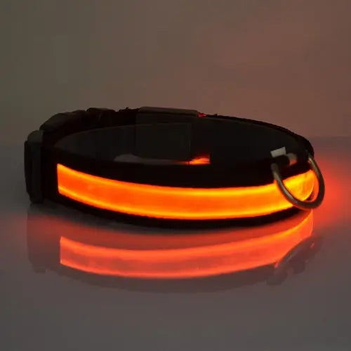 LED Light Up Dog Collar Act1ve Unlimited