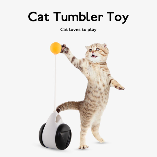 Tumbler Balanced Wheel Swinging Ball Cat Toy Act1ve Unlimited